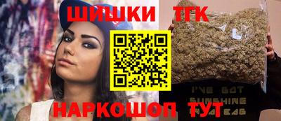 гашик Камышлов