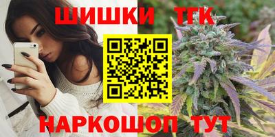 гашик Камышлов