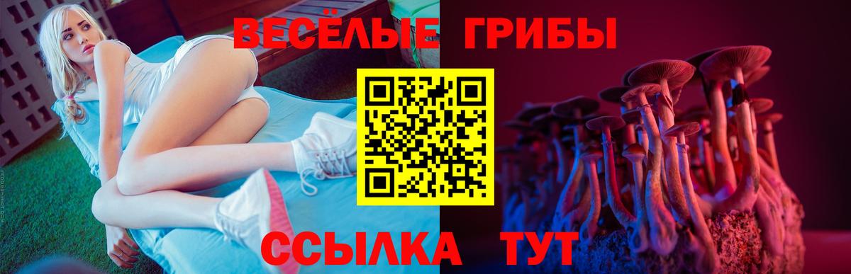 Галлюциногенные грибы Cubensis  Вход с VPN  Шатура  Псилоцибиновые грибы Magic Shrooms 